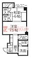 トランプ2階5.0万円