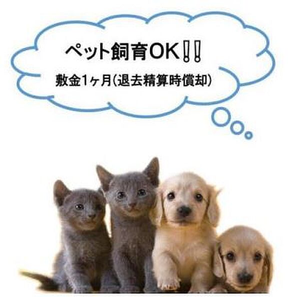 画像18:ペット飼育時は家賃にプラス3000円、敷金1ヶ月増(猫2匹、小型犬1匹まで)