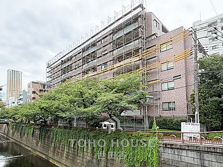 大規模修繕工事中(~11月)目黒川を望む、開放的な眺望です。是非お気軽にお問い合わせください。