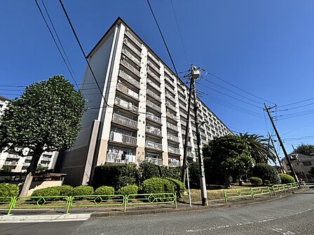 現地(2026年10月)撮影