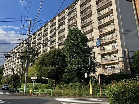 現地(2026年9月)撮影