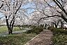 周辺：開成山公園 170m