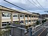 周辺：自然豊かな環境の中で、心豊かでたくましい子どもを育む教育に取り組んでいる学校です。生徒一人ひとりの力を発揮できる地域とともにある学校です。