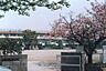 周辺：市川市立第二中学校（約450ｍ）