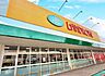 周辺：ランドロームフードマーケット 都賀店（約1100m）徒歩約14分の距離にあるスーパーマーケットです。毎日の食材の買い出しにも困りませんね。