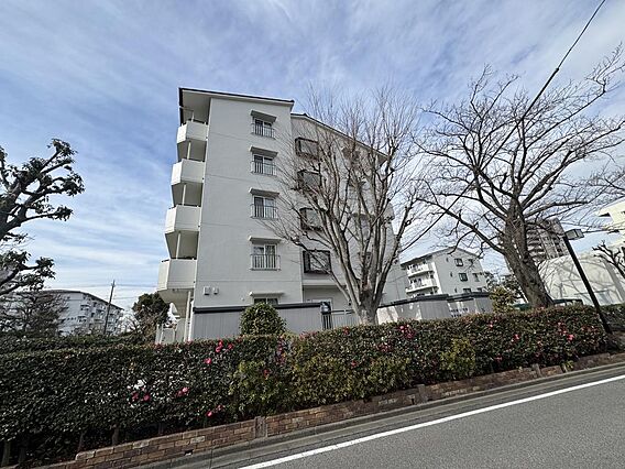 三郷早稲田団地...