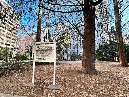 五橋公園(28m)