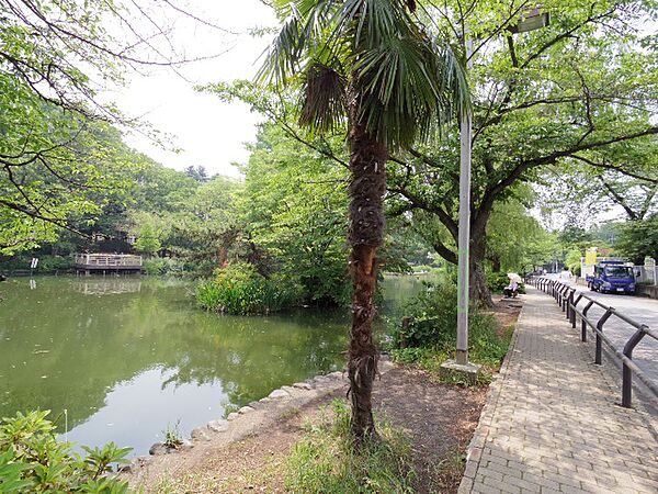 周辺：【公園】東京都立石神井公園まで999ｍ