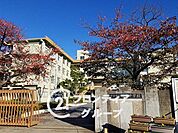 宇治市立槇島中学校 徒歩24分。 1900m