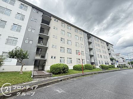 マンション付近は、自然を楽しみながらリフレッシュできる、住民にとって魅力的な場所です!