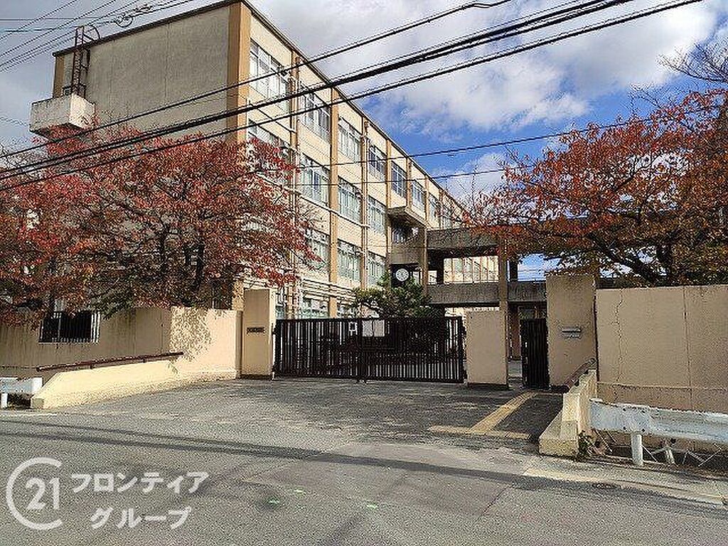 Image 7