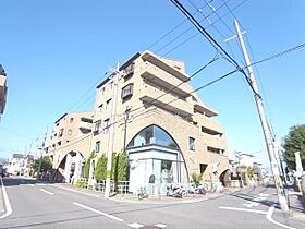 京都府京都市西京区桂上野東町（賃貸マンション2LDK・2階・50.17㎡） その1