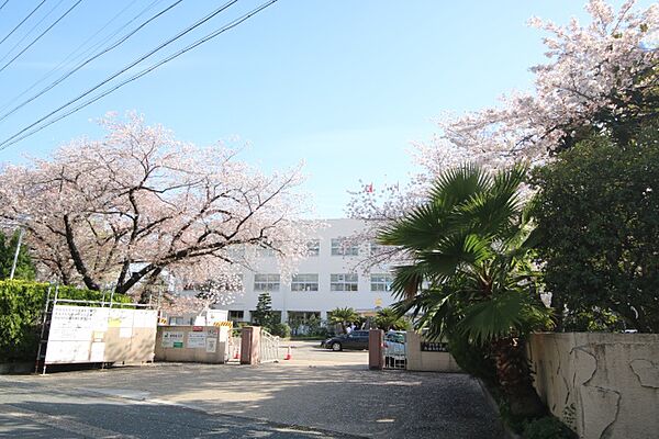 画像4:愛知県立熱田高等学校
