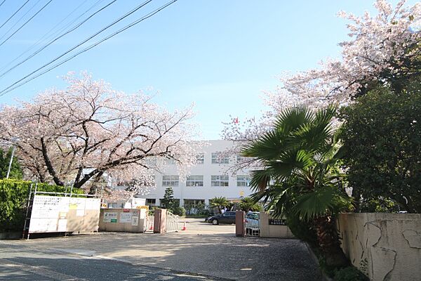 山伝マンション 302｜愛知県名古屋市熱田区旗屋１丁目(賃貸マンション2DK・3階・41.85㎡)の写真 その20