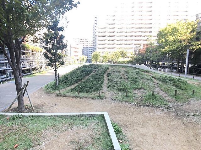 その他 ビッグカーサ堺しらさぎ駅前casaD 23階/-