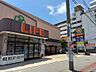 周辺：ライフ新北島店まで徒歩４分
