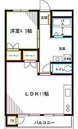 東京メトロ丸ノ内線 南阿佐ケ谷駅 徒歩13分の賃貸マンション 1階1LDKの間取り