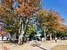 その他：尾島公園 523m