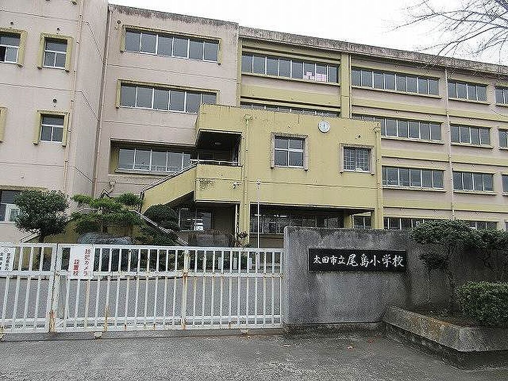 Image 6