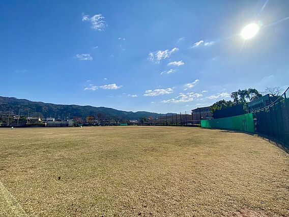 岡崎公園まで徒...
