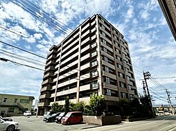 福井 文京 1 マンション サーパス文京