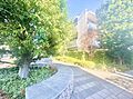 【APPEAR...