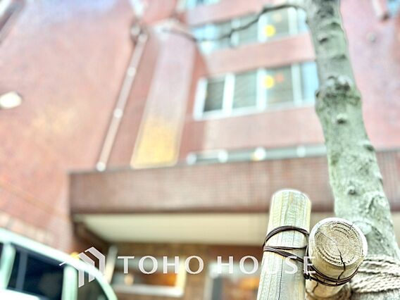 【ENTRAN...