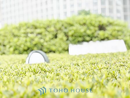 【APPEARANCE】◆安らぎ◆整然と整備された街に風が吹き、木々が揺れる。絵にかいたような心安らぐ環境です。