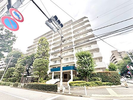 【前面道路】前面道路の様子。周辺は穏やかな住宅街で落ち着いた暮らしが叶う環境です。