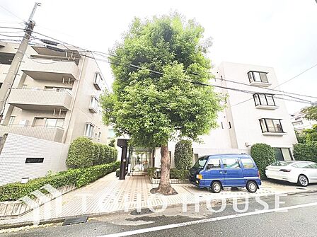 【前面道路】前面道路は見通しが良く、落ち着いた雰囲気の住環境が広がります。