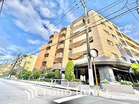 【APPEARANCE】◆眩い◆光が燦々と入り、家族の笑顔を照らす。「いつまでも続いて」と願う夢のような毎日がここにある。