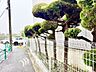 トイレ：◆トイレ◆トイレも全て新品に交換されており、清々しく新生活を始めることができます。白基調の清潔感のある空間に生まれ変わりました。