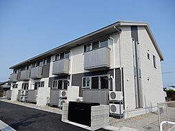 TenINOTSUME(テンイノツメ）