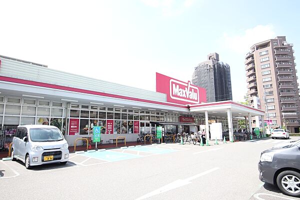 画像6:マックスバリュ徳川明倫店