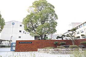 アルバーノ大江A棟 103 ｜ 愛知県名古屋市南区西又兵ヱ町１丁目（賃貸アパート1K・1階・22.96㎡） その21