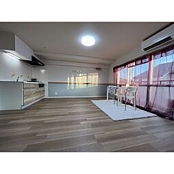 シャインスマイリー 205