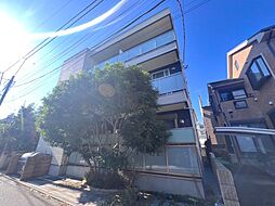 ＡＰＥＸシフォン