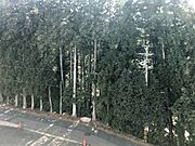ビレッジハウスの同一物件・同一タイプの間取りの写真です