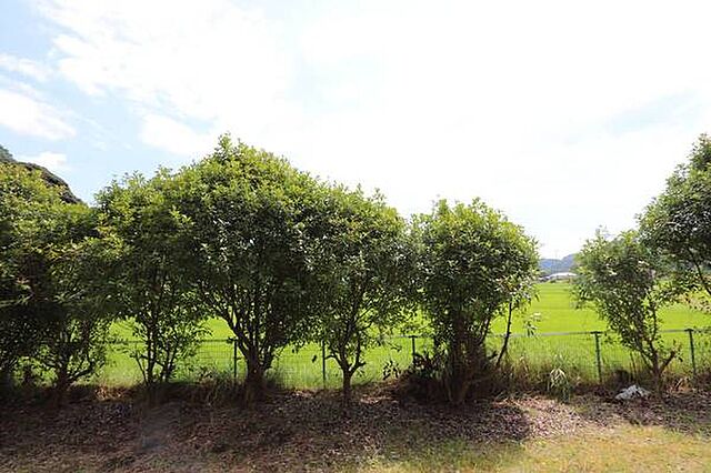 ビレッジハウスの同一物件・同一タイプの間取りの写真です