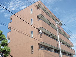 西武池袋線 保谷駅 徒歩11分の賃貸マンション