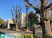 練馬区立関町図書館 徒歩18分。 1400m