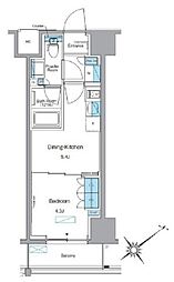 東武東上線 下赤塚駅 徒歩2分の賃貸マンション 9階1DKの間取り