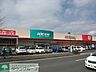 周辺：カインズホーム小田原高田店 徒歩52分。ホームセンター 4160m