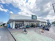 Fuji松が丘店 徒歩8分。スーパー 570m