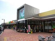 ヨークマート酒匂店 徒歩15分。スーパー 1170m