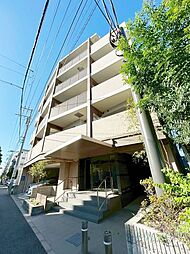 コスモリード奥沢 203