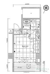 セルフィスタ渋谷 ワンルームの間取図画像