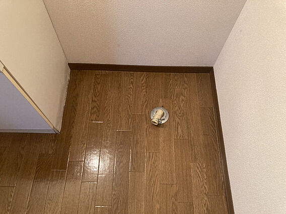 グラス・ハープ_その他_5