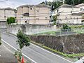 現地眺望
