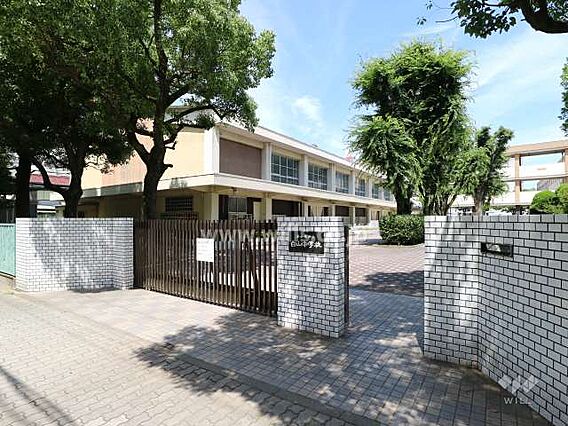 白山中学校[公...